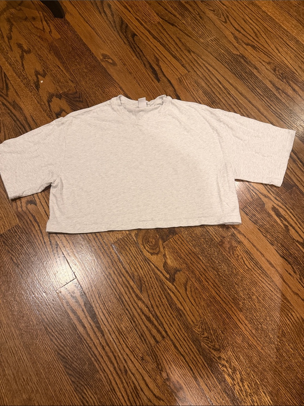 Aritzia TNA 'Soft Feels' Light Gray cropped Tee